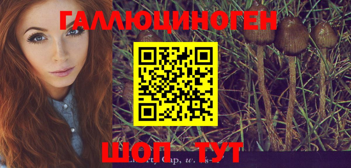 Всеволожск  Галлюциногенные грибы мухоморы  Вход с VPN  Псилоцибиновые грибы ЛСД 