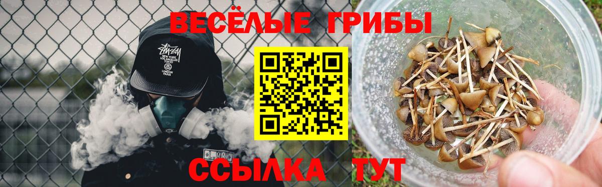 Галлюциногенные грибы ЛСД Всеволожск